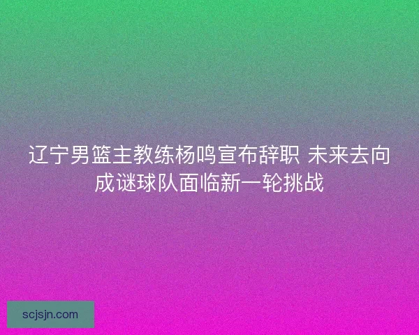 辽宁男篮主教练杨鸣宣布辞职 未来去向成谜球队面临新一轮挑战